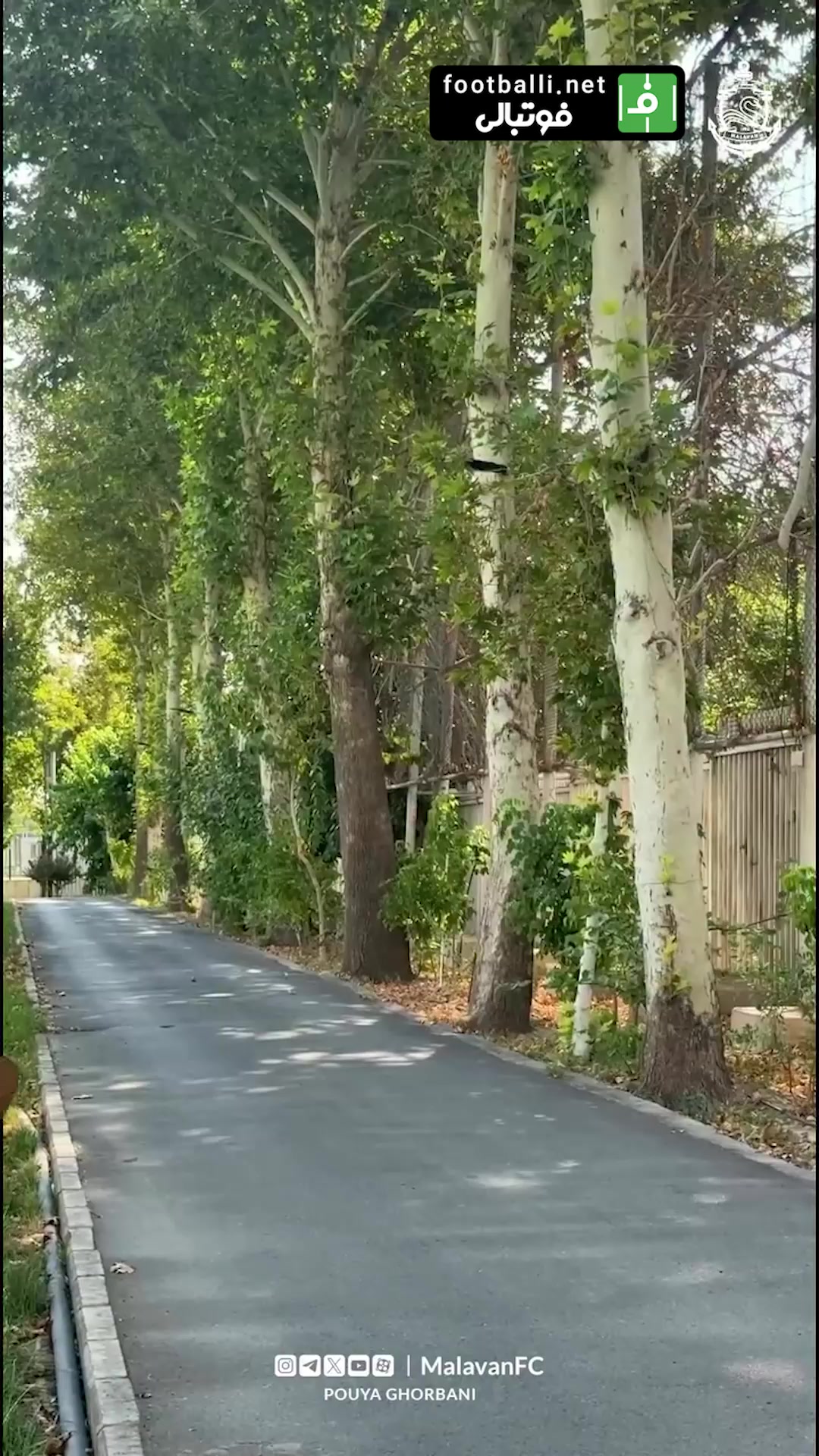 حضور ملوانی ها در ایفمارک برای تست های پزشکی پیش فصل
