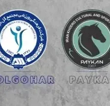 ترکیب پیکان و گلگهر با بازیکنان سابق پرسپولیس!